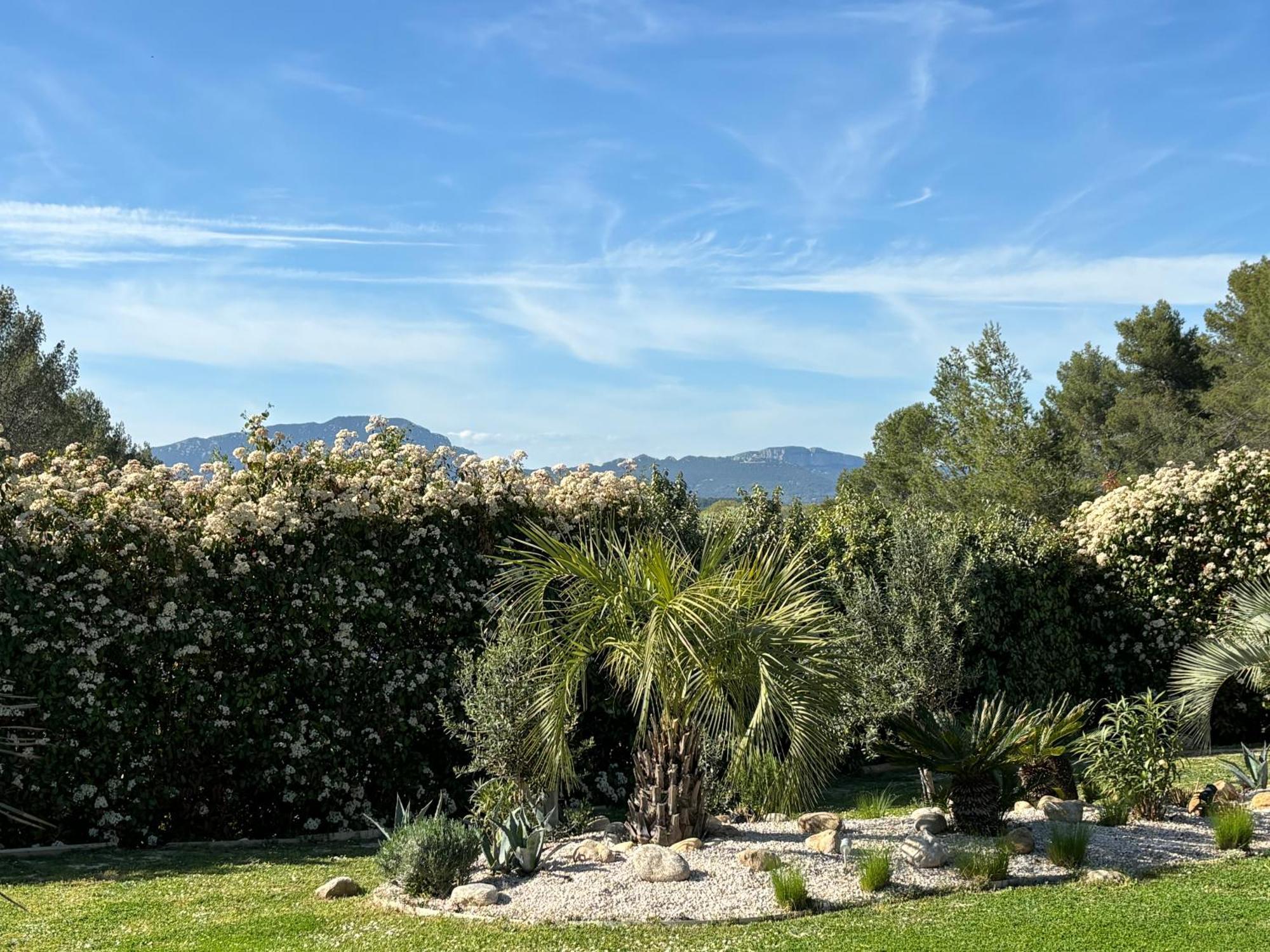Joli Havre De Paix Villa Prades-le-Lez Bagian luar foto